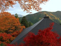 恐るべし！紅葉の京都～行列三昧～鞍馬寺を歩く編