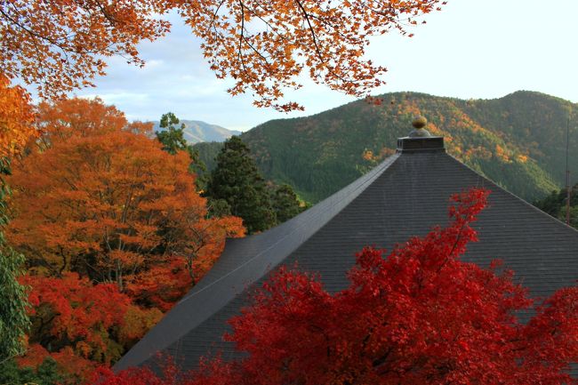 ２年程前迄は毎週のように京都を歩き周っていましたが<br />最近は足が遠のいていました。<br />人混み覚悟で久しぶりに行ってみようか～<br />紅葉の京都はやっぱり早朝出発しないとなぁ...<br />わかってはいたけれど～前日会社の呑み会で<br />熱燗くぃっくぃ～<br />早朝起きれませんでした（笑）<br />阪急河原町～四条京阪～出町柳<br />叡山電車で切符を買うのに行列～<br />券売機が少ないし、ICカードが使えません。<br />鞍馬行の切符は駅案内所で、すっと買えましたが<br />電車は通勤ラッシュなみの混みようでした。<br />もみじのトンネルでは、アナウンスが流れ<br />電車はゆっくり走ります～ほんの一瞬です。<br />鞍馬も結構混みあってましたねぇ<br />ケーブルカーは30分待ち<br />歩きました～本殿金堂まででも結構しんどい～<br />天のエネルギーが降臨するといわれている<br />鞍馬寺正殿前のパワースポット「六芒星」で大行列～<br />石段～未舗装の参道をぜぇぜぇしつつ歩き<br />奥ノ院へ貴船に降りる事も出来ますが戻ります。<br />夕刻近いのに本殿の「六芒星」はまだ大行列～<br />灯籠が点る頃山門を降りたら<br />えっ　鞍馬駅からここまで行列？！<br />貴船口駅まで一駅なのにこんな並ぶんですか～～～<br /><br />貴船編へ続きます...<br /><br /><br />