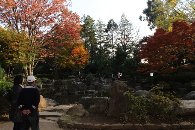 紅葉シーズンに入っても、まだ紅葉を見に行っていないのでさいたま市の北浦和駅から徒歩2〜3分くらいの場所にある北浦和公園へ行ってみました。<br />公園内は意外と（失礼しました）キレイな庭園もあり紅葉も進んでいました。<br /><br />遠くの京都などに行かなくても紅葉は楽しめるんですね（笑）