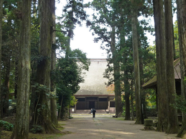 晩秋の成田山公園と匝瑳市にある飯高檀林を<br />訪れました。<br />