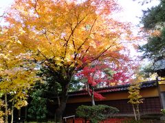 北方博物館の紅葉とソーセージ専門店のランチ