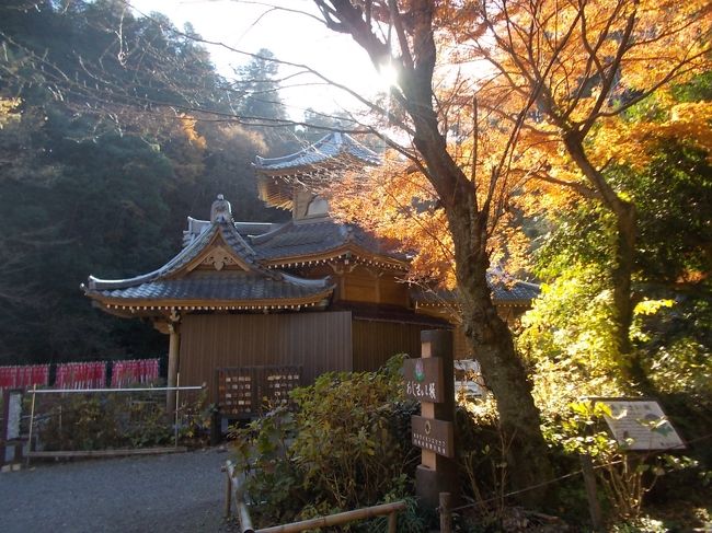 新太平下駅から、太平山−「三大名物を食し」→晃石山(てるいしさん)→桜峠→清水寺(せいすいじ)→大中寺→新太平下駅を歩きました <br />紅葉を満喫し、太平山三大グルメを堪能したハイキングになりました。 <br /><br />土曜日は天気が良さそうなので、どこかハイキングに行きたくなり、ネットで検索<br />条件は「紅葉が楽しめ・駅(電車)から徒歩」、 <br />ちょうど「もみじまつり期間中で、名物のお団子も半額」を見つけ、太平山へ行くことに。 <br /><br /> 駅に着くと、駅に、イルミネーションの案内、つい見たくなり、当初は、軽いハイキングの予定でしたが、暗くならないとイルミネーションが始まらないので、オプションツアーで名物太平山だんご食べ比べ、太平山自然公園内を降ったり登ったり、ハイキングコースも延長。 <br /> 紅葉、山歩き、寺社めぐり、食べ過ぎたグルメ三昧(ご当地グルメなので、お金はかかりませんが)有の、 <br />「ほんとうにハイキング?」になっていました。 <br /> ちょっと疲れましたが、目一杯楽しんだハイキングになりました。<br /><br />表紙は、連祥院六角堂 にて <br /><br />なお、写真枚数が百枚を越えたので、イルミネーションは、本旅行記では、割愛します。<br />それなりに、面白かったので、別途投稿予定です。