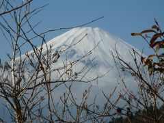 もみじ狩りへ箱根路へ