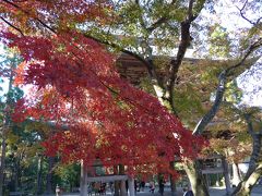 紅葉の鎌倉　円覚寺