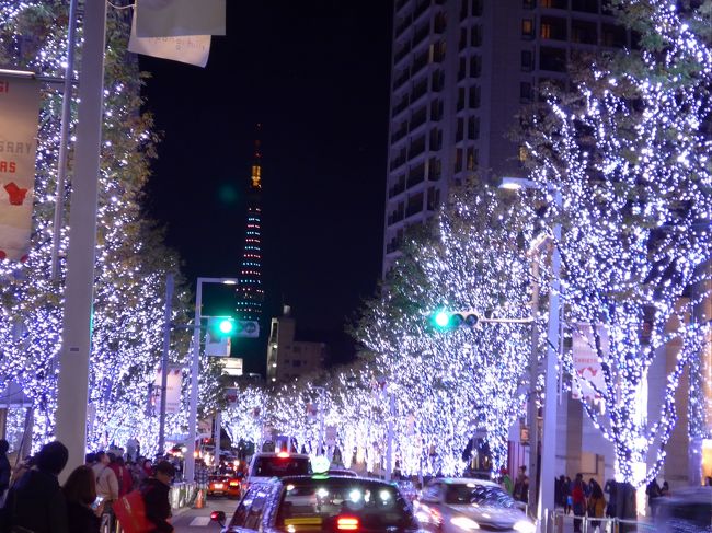 東京観光の二日目、東京の夜景とイルミネーションを見て回る、六本木駅を中心に「東京ミッドタウン」「六本木ヒルズ」「六本木けやき坂通り」のベスト三か所を満喫する。三か所ともに違ったテーマとなっていていずれも最高の見応えで時間があっという間に過ぎた。六本木ヒルズから六本木けやき坂通りへ移動　街路樹に灯されたイルミネーションが行き交う人々はもちろん車の助手席からもカメラで撮影会が始まる　素晴らしい名所　ここからも東京タワーが坂下先の方に見える<br />有名なブラン時ショップも並び多くの若者が行き交う<br />夜に似合う街　六本木の最高の通り