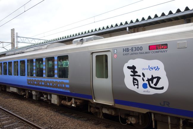 風光明媚な人気の鉄道　五能線の観光列車「リゾートしらかみ」に乗る温泉の旅です。<br /><br />季節は冬、雪やら強い冷え込みが心配ですが・・<br />幸いそれほど寒くもないし、積雪もなく、お天気もまあまあで楽しい温泉の旅でした。<br />五能線沿いの幾つかの温泉宿から選べるツアーです。不老ふ死温泉の他、十二湖、鰺ヶ沢、深浦などたくさんのお宿が選択肢になります。<br /><br />お宿だけでなく、車窓の眺めも楽しめるし鉄ちゃんも満足できる旅ですね。<br />