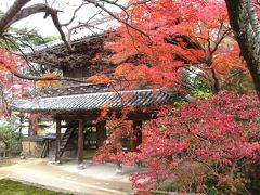 2013年　山口県・下関　功山寺の紅葉と秋の特別公開