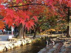 ２０１３年　晩秋ぶらり散歩　静かな京都　上賀茂神社　西村家別邸　大田神社　