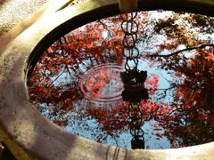 鎌倉紅葉散歩 ～天園ハイキングコースを歩いて見つけた紅葉の穴場～　　２０１３秋