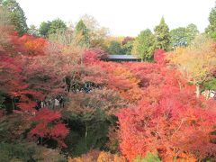 2013.11.24　秋の紅葉・東福寺＆嵐山