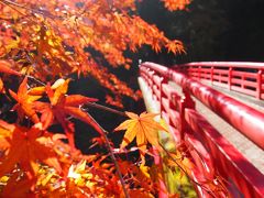 灯台下暗し!?　激混みの紅葉の名所に行く必要なんてナイ!と思えた、素晴らしすぎる秩父の紅葉を堪能♪