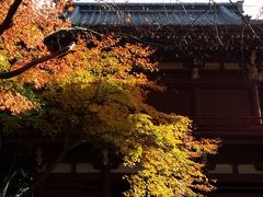 2013年　2回目の紅葉狩りは松戸の本土寺で♪