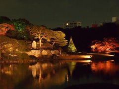 2013.12都立庭園スタンプラリー～その4．旧古河庭園・六義園