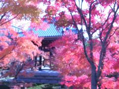 秋の京都②
