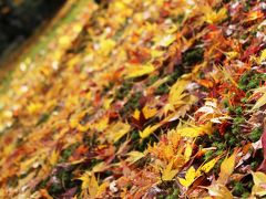 いいね金沢【中の巻】兼六園の紅葉と秋を感じる街歩き