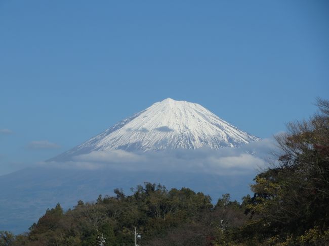 2013年秋の三世代旅行は、伊豆・赤沢温泉で海の恵みを堪能