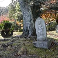 晩秋の西大和から斑鳩・奈良公園まで