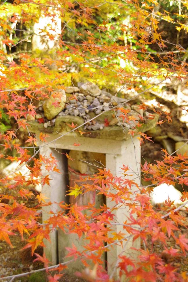 兵庫県加西市に法華山一乗寺という寺がある。<br />西国三十三所巡礼の第二十六番札所であり、寺内には建つ三重塔は国宝だ。<br /><br />秋の陽気に誘われカメラ片手に訪れた。<br />紅葉は終わりに向かおうとしていたが、空の青さと赤に黄色にと咲く紅葉に心が弾む。<br />マイナーな紅葉スポットだが、散策するにはちょうど良い。<br />今回は写真がメイン、コメントはなしだがご容赦を。