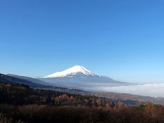 ０８．富士五湖の紅葉を楽しむ山中湖マウント富士１泊　雲海　パノラマ台　山中湖マウント富士からの富士山