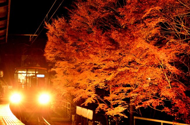 【昼間の旅行記】<br />晩秋の叡山電鉄沿線に広がる紅葉を探しに訪れてみた<br />http://4travel.jp/travelogue/10837832<br /><br />叡山電鉄沿線に広がる紅葉のライトアップを見に訪れました。<br />また、京都・東山周辺の紅葉のライトアップ散策もしてみました。