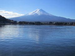 大人の休日クラブパス利用の旅　３日目　～富士山見てから東京へ～
