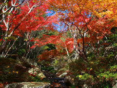 晩秋の三原の風物詩を撮る旅（その2、紅葉の名所巡り）