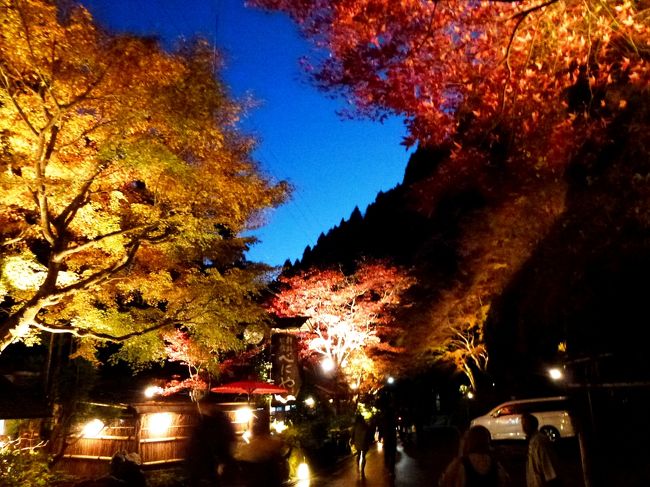 この時期に希望のウィークリマンションが取れましたので二週間ほど京都の紅葉を楽しむ事ができました。<br />表紙は貴船のライトアップです。<br /><br />何時もあんまり観光しないので旅行記アップしないのですが、今回はがっちり観光もしましたので、自分達にしては気合を入れて旅行記を纏めてみました。今後は京都に滞在してもこんな風に連続してアップすることは無いと思います。