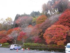 初めて見た光景です