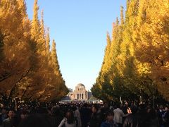 2013年秋　秋晴れの中、『神宮外苑いちょう祭り』（2013年12月9日まで開催）へ！