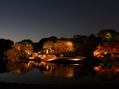 六義園『紅葉と大名庭園のライトアップ』は、2013年紅葉観賞の目玉となりました