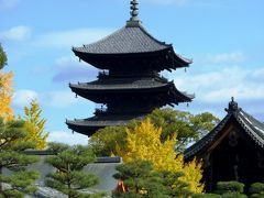 京都　紅葉狩りと町歩き　弘法さん・保津川下り・修学院離宮・大徳寺