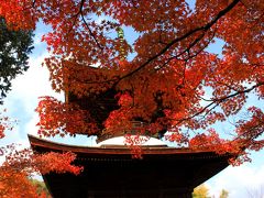 紅葉の京都　嵐山散歩　常寂光寺～二尊院へ