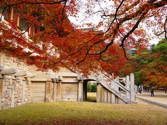 2013 晩秋の釜山より　落葉の仏国寺