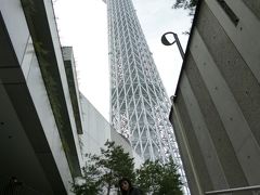 孫と娘と東京観光　２日目は東京スカイツリー・すみだ水族館