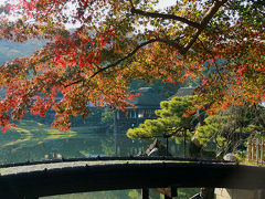 見頃を迎えた紅葉を求めて鶏足寺と玄宮園へ