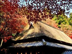 2013 教林坊の紅葉と庭園