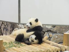 和歌山エネルギー館とアドベンチャーワールド