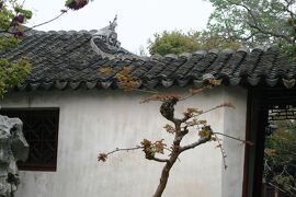 2012春、中国旅行記22(28/50)：4月16日(8)：蘇州市、蘇州古典園林の藕園、太湖石、紅梅、戴酒堂