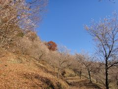 晩秋の長瀞・紅葉と桜の競演