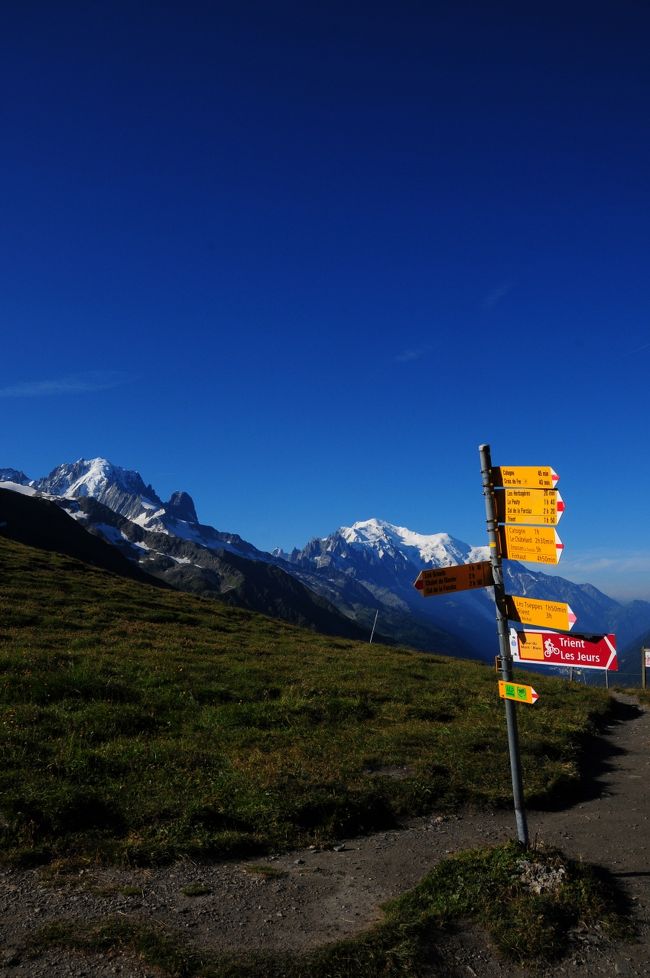 ツール・ド・モンブランの山歩きを終えた翌日。<br />とうとうこの旅の最終日。<br />夕方のバスまでの時間、どこに行こうかといろいろ考えましたが、5年前、雨に遮られてゴールできなかったトゥール氷河とアルベルト小屋を目指すことにしました。<br /><br />この日も最高の晴天。<br />そして無事にリベンジを果たすことが出来ました。