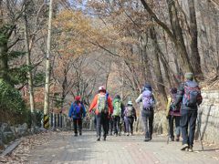 初雪のソウルでチムジルバンと山歩き