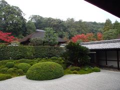 ガブちゃんと『一休寺（酬恩庵）』で紅葉狩り～カフェタイムはやっぱり『パティスリー・ナチュール・シロモト』