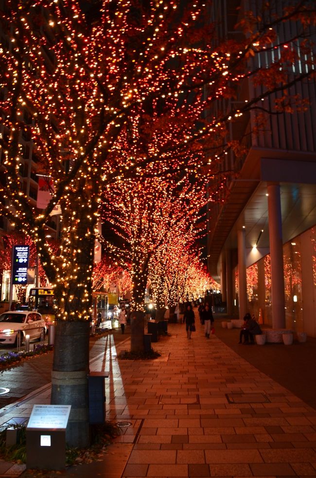 暮れのこの時期、巷ではジングルベルが鳴り響き、あちこちでクリスマスのイルミネーションで光り輝いていますが、今年は出遅れてしまい、まだどこにも行っていません。<br />日曜日の夕方車に乗って、とりあえず近所のイルミネーションを眺めてきました。