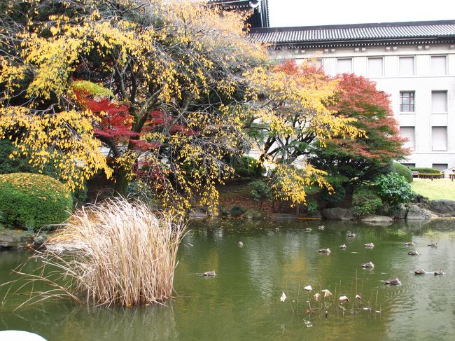 　国立博物館である「京都　洛中・洛外図　障壁画の美」を見た後で本館の裏にある庭園を散歩しました。<br /><br />　庭園は年に２回春と秋に公開されます。<br />私は初めて庭園に行きました。<br />　あちこちで紅葉が見られたので感激しました。<br /><br />　春は桜が咲くようです。<br />桜の開花頃を見計らって行ったらいいかもしれません。