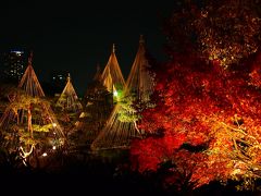 白鳥庭園ライトアップ紅葉狩り in Nagoya★2013【名古屋】