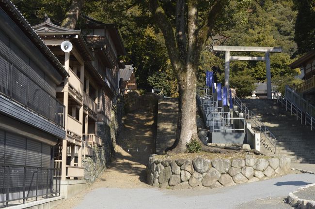 なばなの里へ行く途中に多度大社へお詣りしてきました。多度大社は5世紀後半、雄略天皇の御代に御社殿が建てられました。 本宮の多度神社には、伊勢の神宮の御祭神、天照大神の第3皇子である天津彦根命をお祀りし、その御子、天目一箇命を別宮の一目連神社にお祀りしています。 この御祭神の関係から「お伊勢参らば お多度もかけよ お多度かけねば 片参り」と謡われ、北伊勢地方の総氏神様として崇められています。 また、南北朝時代には多度祭の上げ馬神事も始まったと伝えられています。 然しながら元亀2年(1572年)、織田信長による兵火に罹り、御社殿を始めすべての御建物と、暦朝より賜った神位記・御神宝・諸記録のすべてが失われました。 その後、江戸時代に入り、桑名藩主本多忠勝公により莫大な寄進を受け、御社殿等も復興されました。 近代に入り、明治6年県社、大正4年には国幣大社という高い社格が授けられ、現在でも地元を始め全国の人々から厚い崇敬を受けています。多度まつりは毎年5月4日5日の両日に行われます。中でも「上げ馬神事」は多度まつりの最大の呼び物で、全国から大勢の見物客が集まりにぎわいます。しかし2009年上げ馬神事において、神事を運営する地元の団体が、本番前に馬を興奮させる目的で、馬の腹部などを蹴ったり殴打したりしていたことが、津市内の動物愛護団体からの告発によって明らかになり、三重県警が動物愛護法違反の容疑で、団体に所属する桑名市内の住民らを書類送検しました。上げ馬神事は、動物虐待に当たるとの指摘が以前から多数出ており、多度大社も、三重県教育委員会から勧告を受けています。