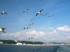 東京湾フェリーとアクアラインで夏の東京湾ぐるっと一周