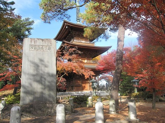 ウオーキングクラブのみなさんと、世田谷線沿線の豪徳寺、代官屋敷、松陰神社をめぐりました。<br /><br />秋が深まり、紅葉が綺麗でした。<br /><br />ウオーキングの後は、三軒茶屋のスカイキャロットの最上階のレストラン「スカイキャロット」で、眺望を楽しみながら、お食事にしました。<br /><br />写真は豪徳寺の三重塔です。<br /><br />