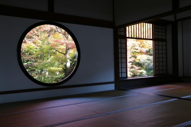 去年行った、鷹ヶ峰の紅葉巡り。<br />常照寺、源光庵、光悦寺の3か所は<br />それぞれが近くて好立地。<br />コンパクトにまわれました。<br /><br />この日は天気も良くて、紅葉時期も最高で<br />素敵な紅葉を楽しむことが出来ました。<br /><br />市内から離れており少し、不便ですが<br />行く価値は十分あります。<br /><br /><br />