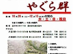 R60★亀　20131128紅葉の鎌倉　名越切り通しからまんだら堂を経て絶景富士山ポイント